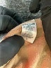 Monrow Tan Cargo Pants Size L - photo 8