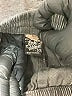 First Wave Solid Green Cargo Pants Size 2 - photo 3