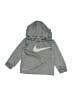 Nike Gray Pullover Hoodie 9-12 MO / 12 MO - photo 1