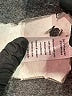 Tart Animal Print Silver Active Pants Size XL - photo 8