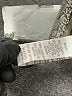 Theia Metallic Silver Cocktail Dress Size 8 - photo 9