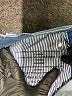 Assorted Brands Blue Jeans Size 31 waist - photo 8