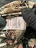 Blu Pepper Animal Print Brown Cocktail Dress Size S - photo 8