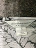 Christopher & Banks Silver 3/4 Sleeve T-Shirt Size XL (petite) - photo 7