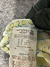 Assorted Brands Print Green Shorts Size 100 cm / US 3-4 - photo 3