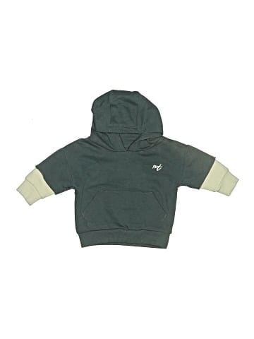 Next Pullover Hoodie (view 1)