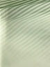 Gabby. Solid Green Dress Size 10 - photo 4