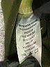 Harper Black Cargo Pants Size XL - photo 5