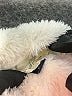 Universal Thread 100% Polyester Ivory Pullover Sweater Size XS - photo 7