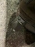 Studio 400 Black Dress Pants Size 4 - photo 8