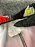 Assorted Brands Graphic Black Leggings Size L - photo 7