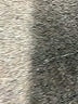 Torrid Black Active Pants Size 1X Plus (1) - photo 8