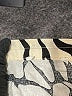 Unbranded Animal Print Ivory 3/4 Sleeve Blouse Size L (estimated) - photo 7