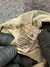 Bella Dahl 100% Tencel Lyocell Tan Khakis Size S - photo 8