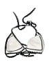 Express Graphic Ivory Swimsuit Top Size XS - photo 1
