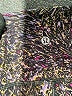 Lululemon Athletica Purple Active Pants Size 6 - photo 4