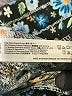 Flora Nikrooz Print Blue Casual Pants Size XS - photo 5