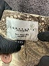 Sanctuary Paisley Gold Shorts Size XXS - photo 3