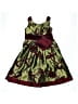 Iris & Ivy Paisley Green Dress Size 7 - photo 1