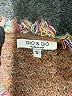 Assorted Brands Tweed Brown Cardigan Size S - photo 7