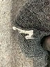 Ophelia Roe Gray Cardigan Size S - photo 8