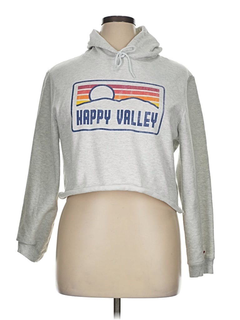 Pre-owned League Pullover Hoodie In Silver