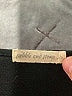 Pebble and Stone Black 3/4 Sleeve Top Size 1X - photo 7