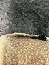 H&M Solid Tan Casual Pants Size S - photo 5