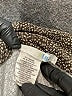 Lija Graphic Marled Polka Dots Gray Short Sleeve Polo Size XL - photo 7