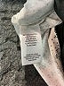 B Collection by Bobeau Ivory Sleeveless Blouse Size XL - photo 8