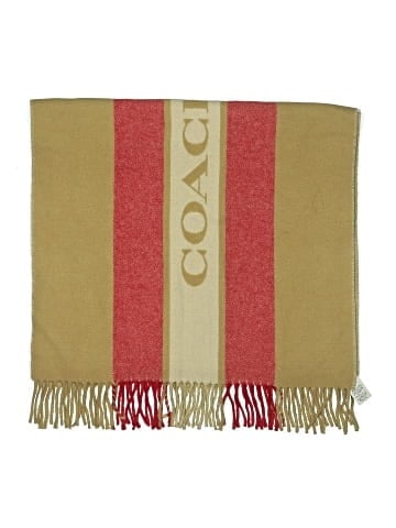 Coach Scarf (view 2)