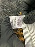 wren 100% Silk Tan Coat Size XS - photo 7