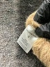 Lumiere Tan Pullover Sweater Size S - photo 8