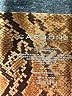Carbon38 Animal Print Brown Leggings Size M - photo 7