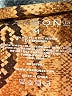 Carbon38 Animal Print Brown Leggings Size M - photo 8