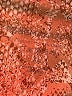 BCBGMAXAZRIA Animal Print Tan Casual Pants Size XL - photo 8