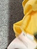 Unbranded 100% Polyester Yellow Long Sleeve Blouse Size M - photo 8