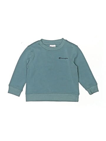 Champion Sweatshirt (view 1)