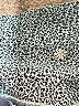 Athleta Animal Print Leopard Print Blue Active Pants Size XS - photo 7