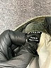 Shein Camo Gray Jeans Size S - photo 7