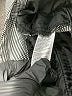Lord & Taylor Plaid Gray Casual Pants Size 10 - photo 8