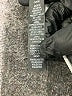 Savage X Fenty Animal Print Gray Active Pants Size 14 - photo 5
