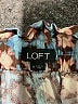 Ann Taylor LOFT Print Blue Shorts Size M - photo 3