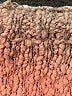 Assorted Brands Tan Turtleneck Sweater Size M (estimated) - photo 7