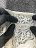 Ann Taylor LOFT Ivory Long Sleeve Blouse Size M - photo 7