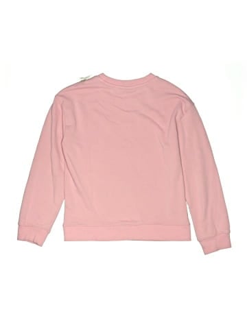 Champion Sweatshirt (view 2)