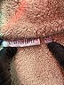 Jennifer Lopez 100% Polyester Brown Vest Size XS - photo 6