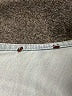 Unbranded Blue Casual Dress Size L (estimated) - photo 7