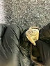 J.Crew Factory Store Tan Coat Size 4 (petite) - photo 7