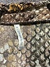 PASSPORTS Brown 3/4 Sleeve Blouse Size M - photo 7